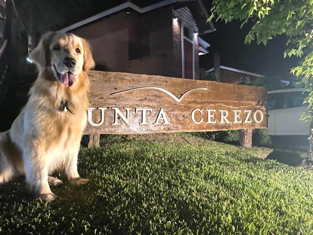 Punta Cerezo Apart Carilo Luaran gambar